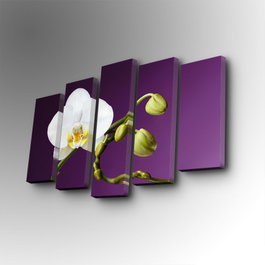 Wallity Cuadro decorativo en lienzo de 5 piezas 5PUC-112